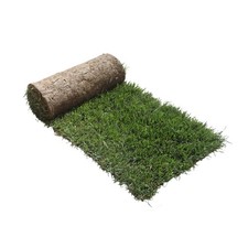 Ricarica S Cane PetZolla