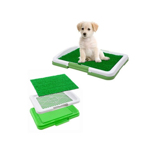 Lettiera per cuccioli - lettiera, cane