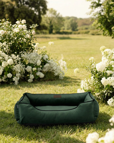 Chester lee letto - chester, classico