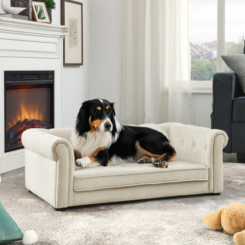 Modern rectangle dog - dog, for