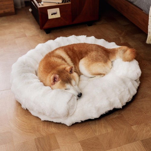 Divano letto per - divano, cani