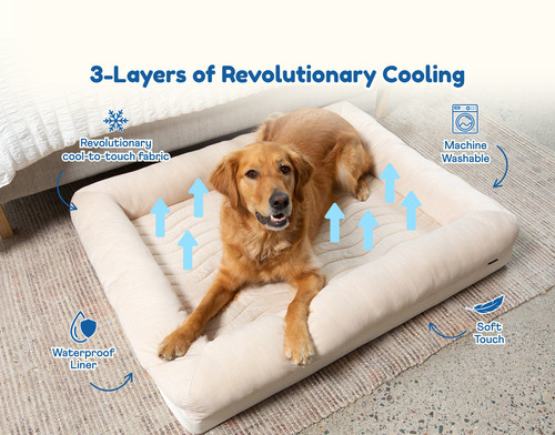 Pupchill cuccia per cani - pupchill™, 4
