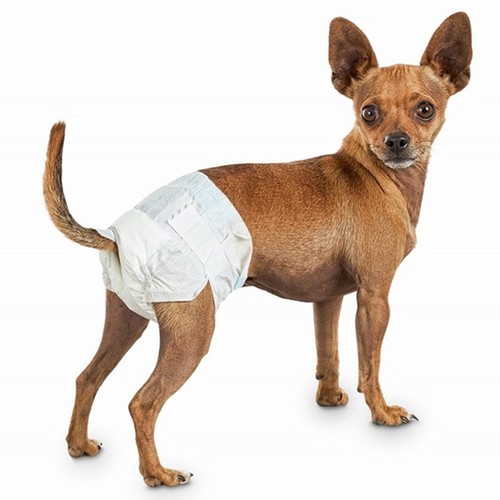 Pannolini assorbenti per cani - assorbenti,