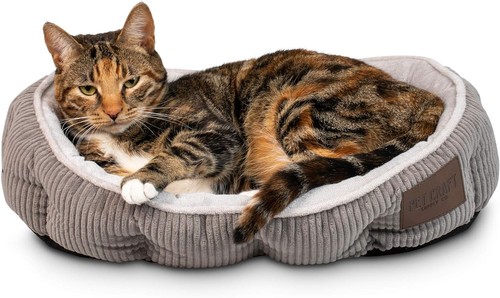 Pet craft supply cuccia per - craft,