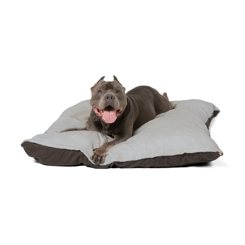 Cuccia peluche grigia - peluche,